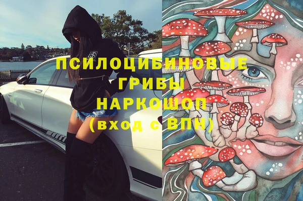 стаф Осинники