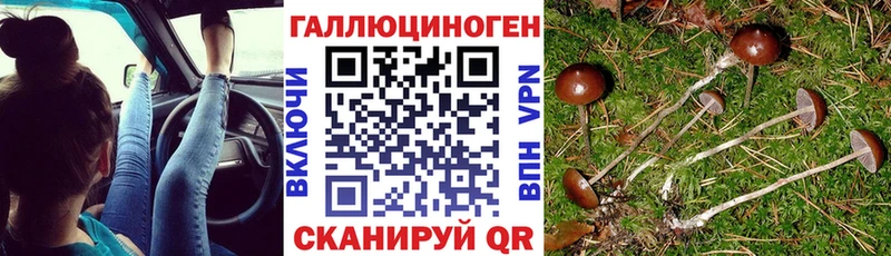 Галлюциногенные грибы Cubensis наркотики МЕГА ONION Темрюк